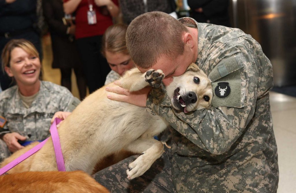 Reuniting Military Heroes: The Journey of Military Working Dogs and Their Handlers 1 Reuniting Military Heroes: The Journey of Military Working Dogs and Their Handlers