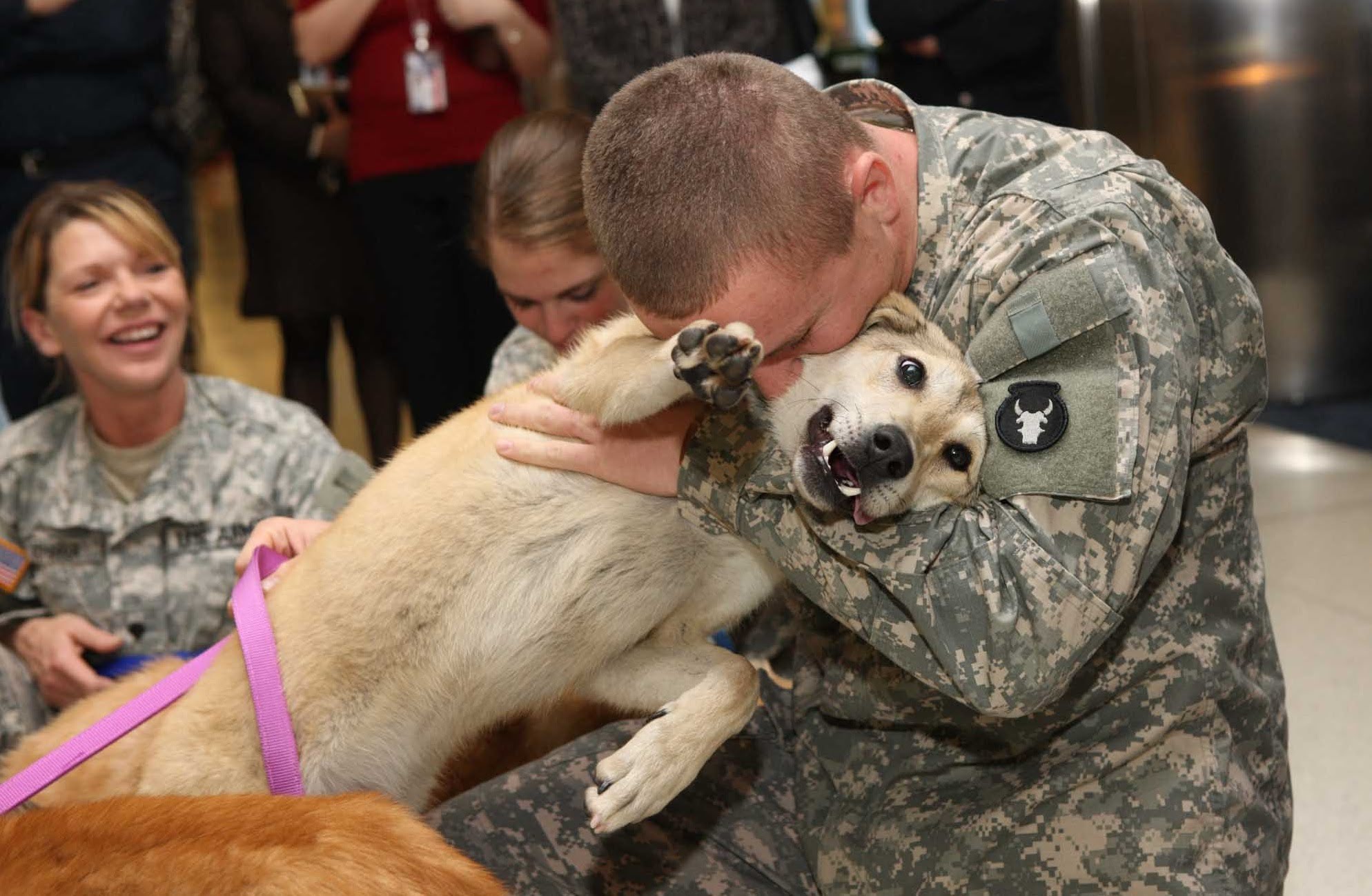 Air Force sergeant reunited with puppy he adopted overseas