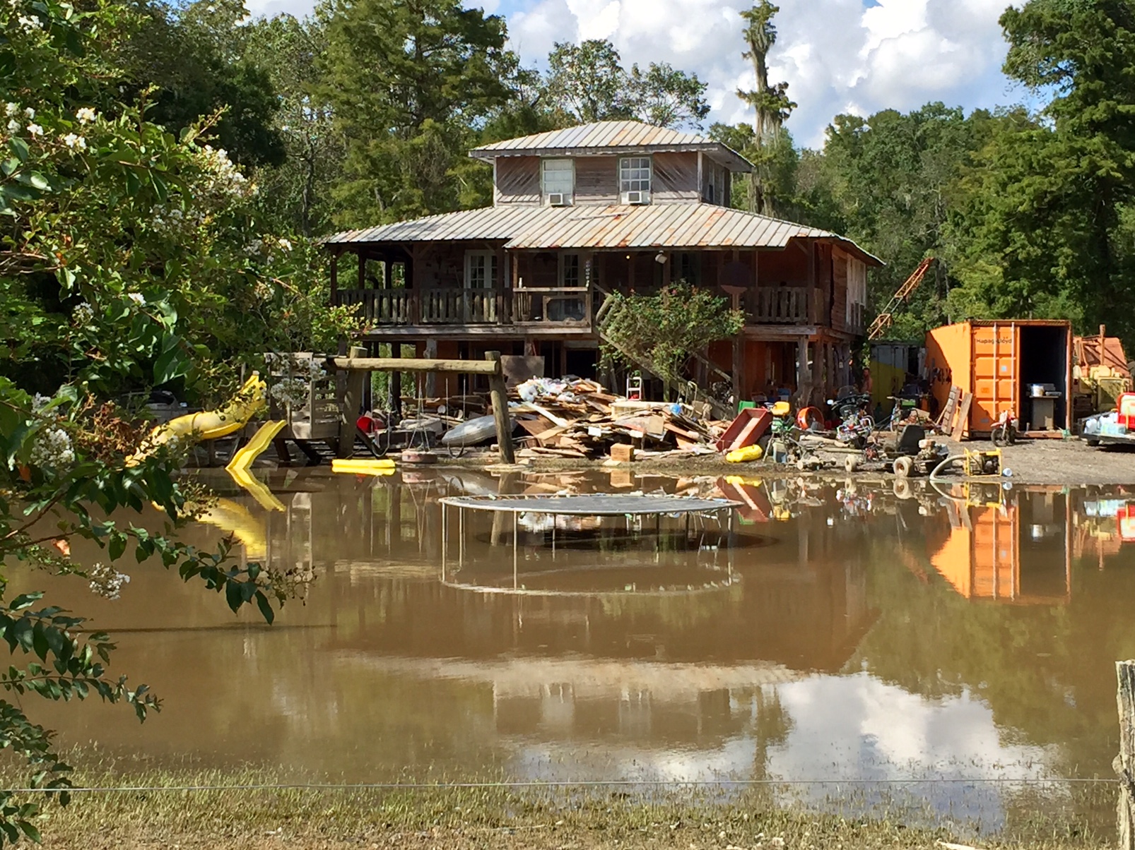 Where can you find information about the Louisiana Government?