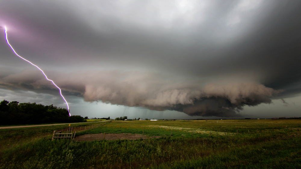 Tornado Tips for Pet Owners - American Humane - American Humane