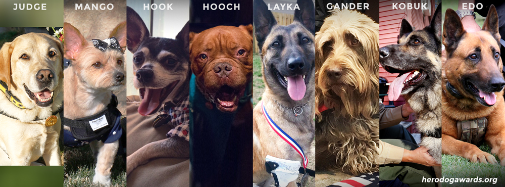 2016 Hero Dog Awards