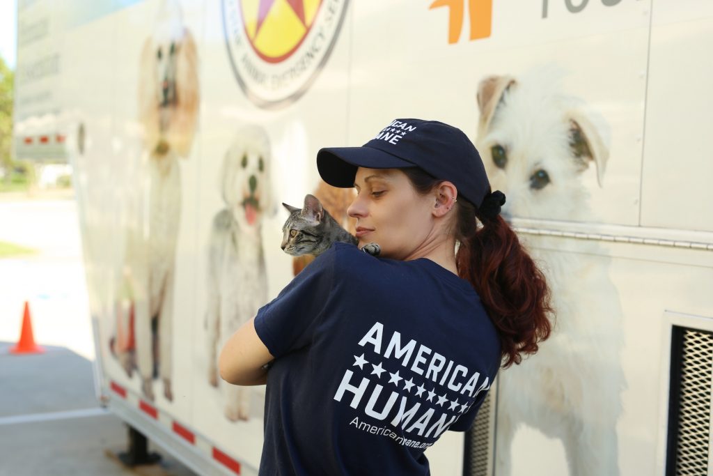 American Humane Service during Hurricane Matthew