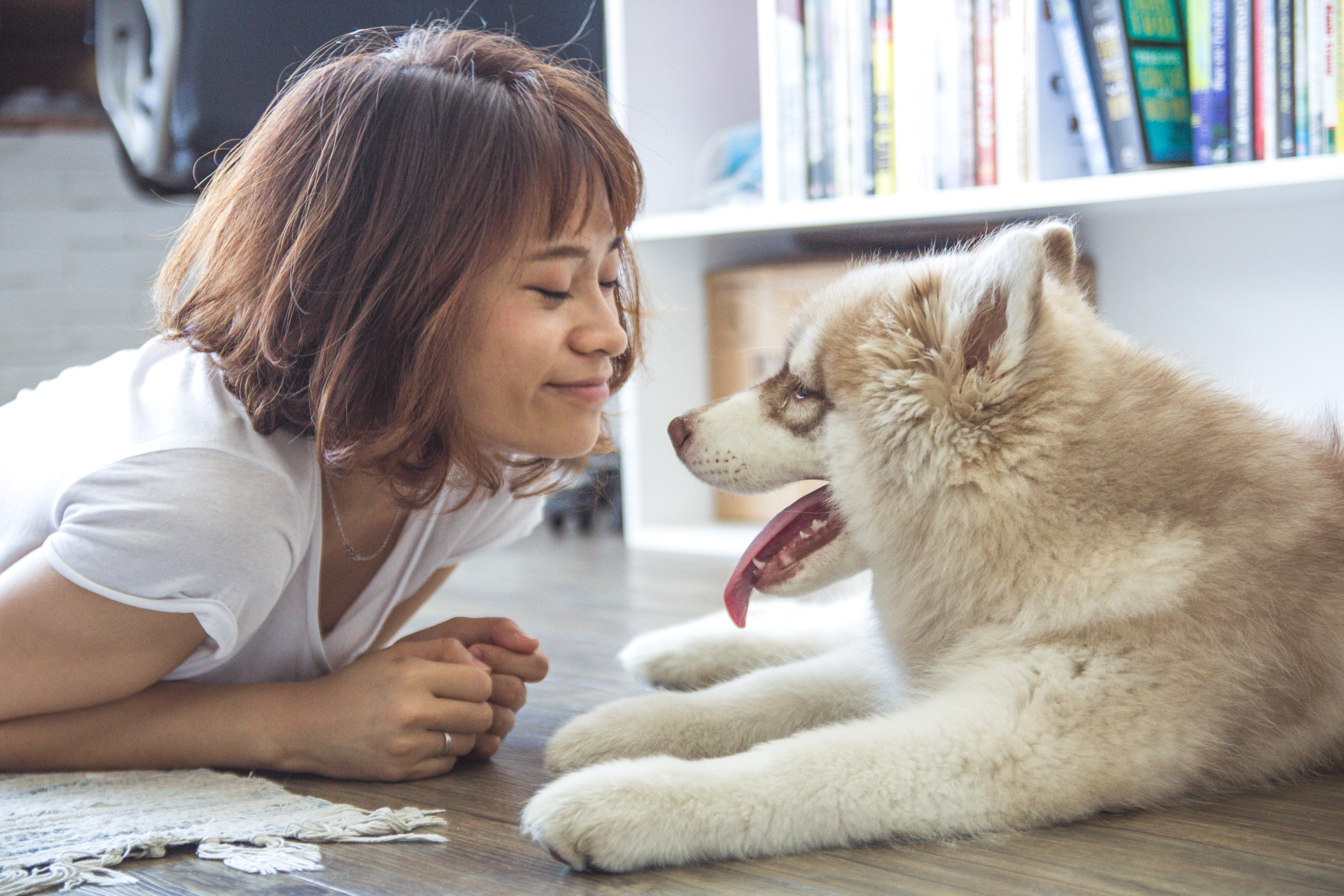 do dogs increase happiness