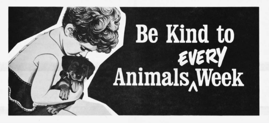 Commemorating a Century of “Be Kind to Animals Week®” 1915 – 2020 -  American Humane - American Humane