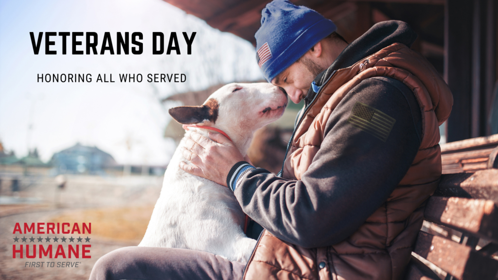 Free veterans day meals 2024 washington state