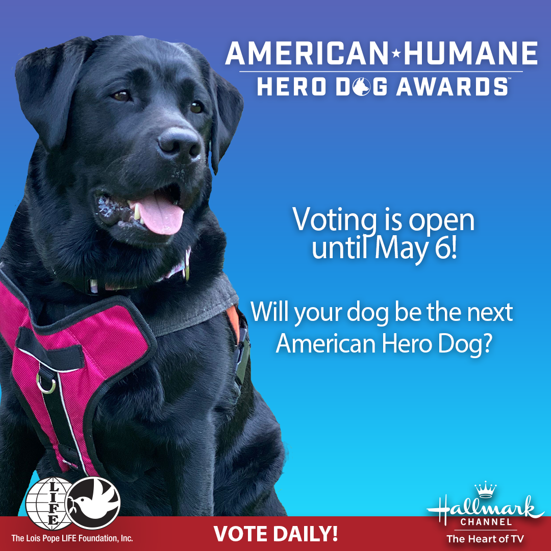 Voting is Now Open for the 2021 Hero Dog Awards! - American Humane -  American Humane