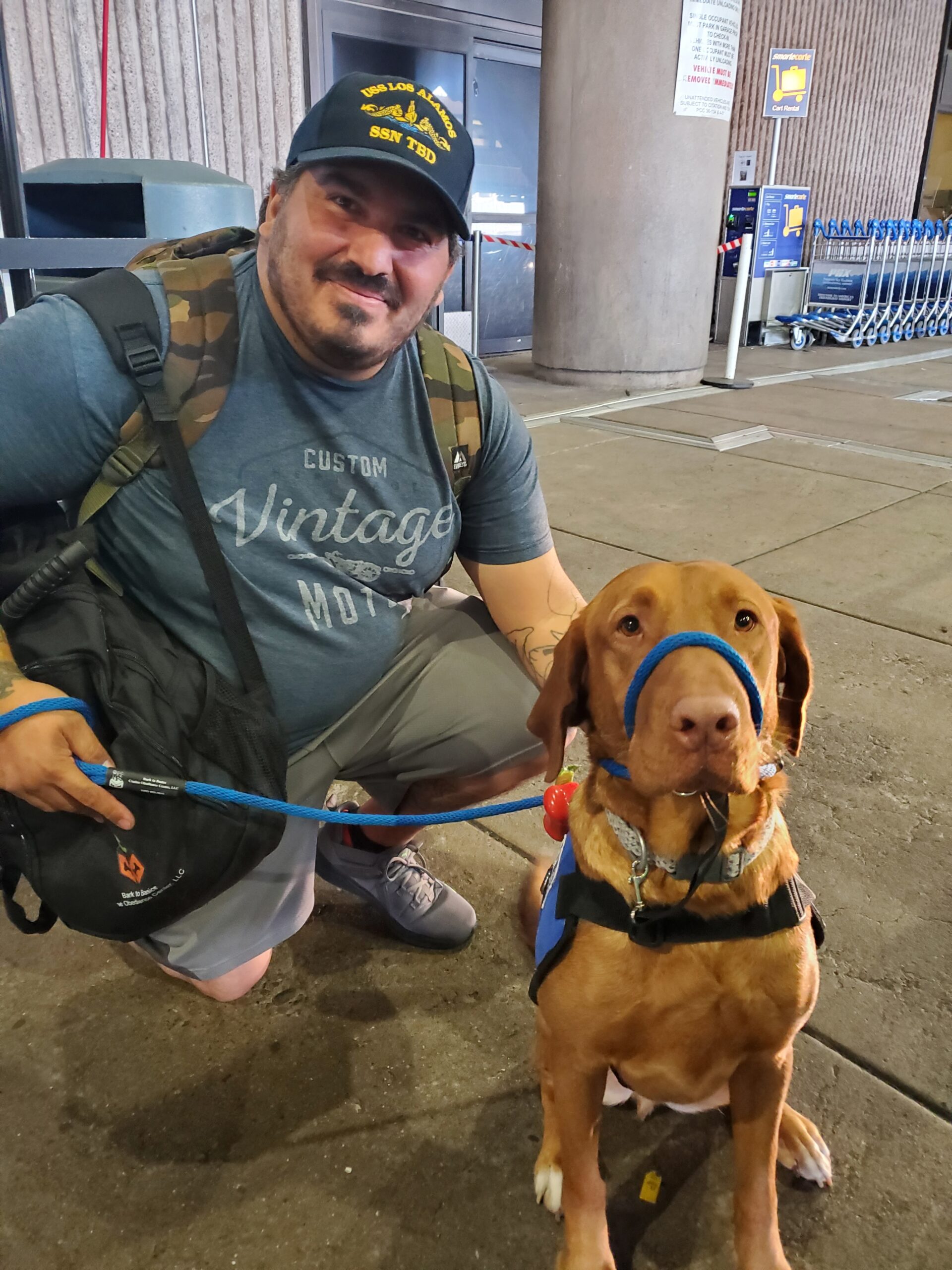 Service Dogs Saving Lives - American Humane - American Humane
