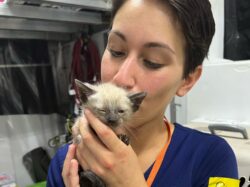 Animal Shelter Employee with Kitten