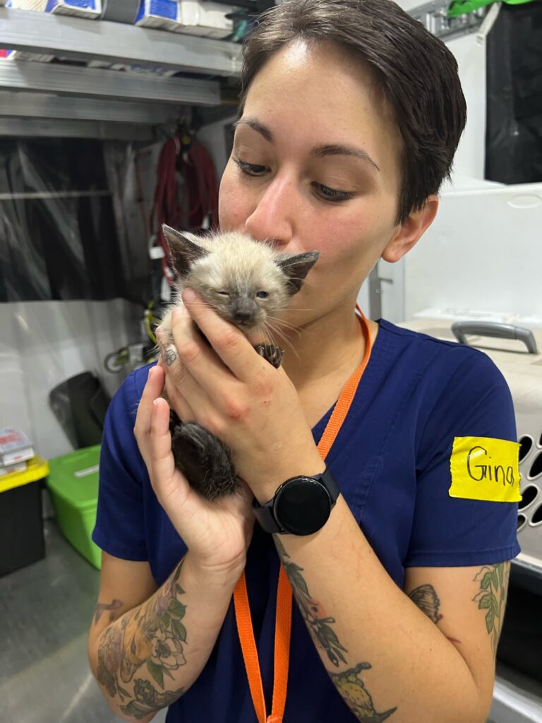 Animal Shelter Employee with Kitten