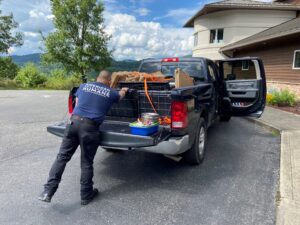 22 Boots on the Ground: American Humane Rescue Team Deploys to Eastern Kentucky - American Humane