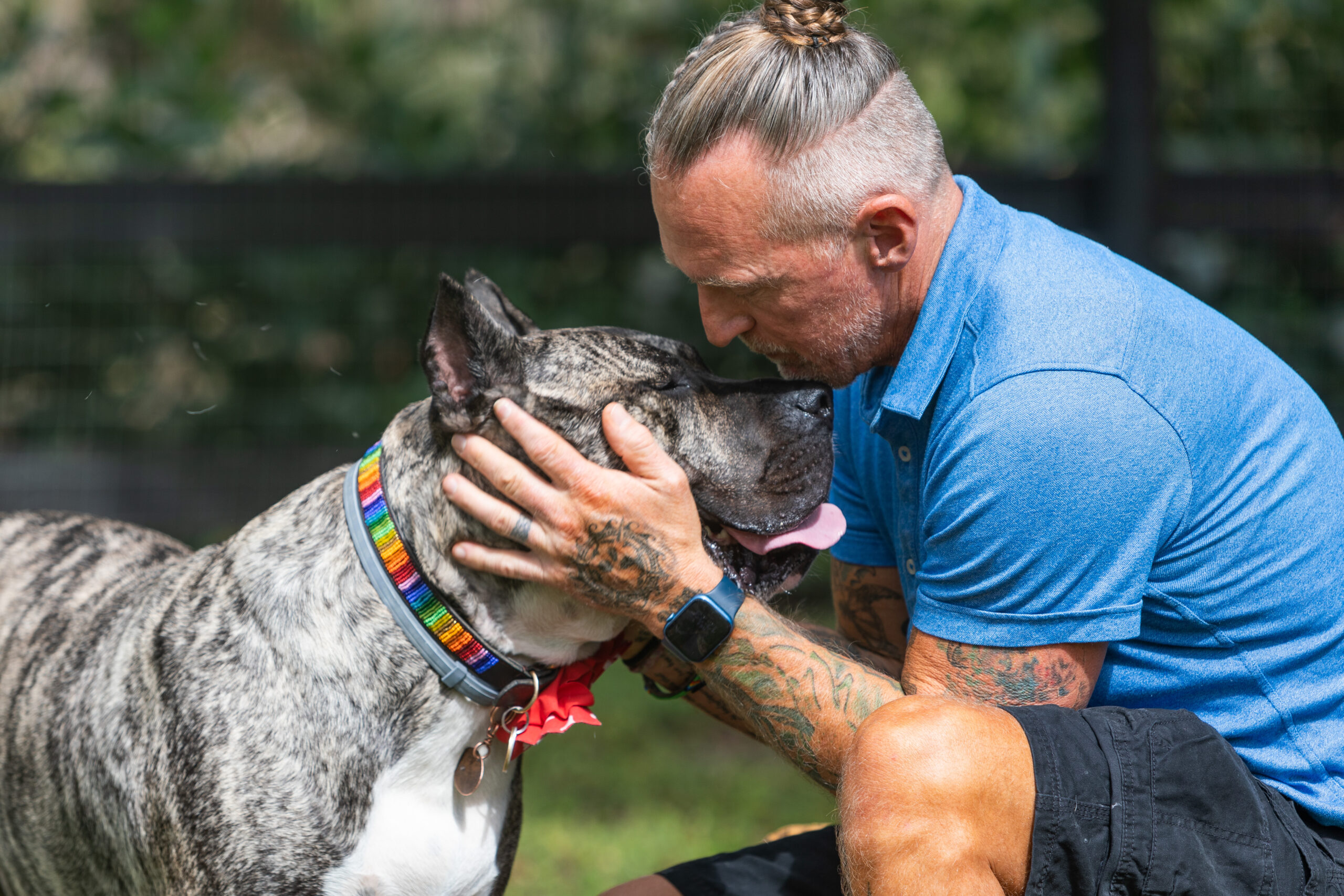178 C4345 scaled Ethan Named the 2022 American Hero Dog! - American Humane