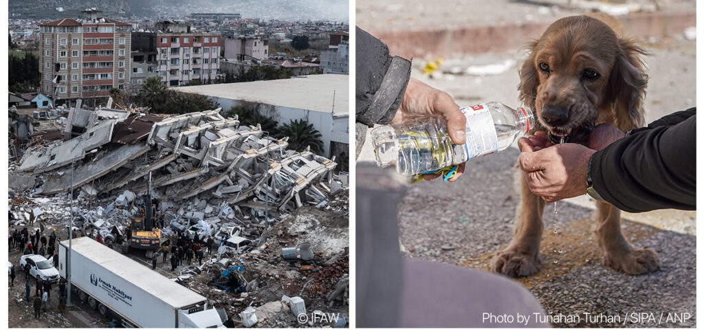 American Humane Supports Mission to Save Animals After Powerful Earthquake in Turkey and Syria - American Humane - American Humane American Humane Supports Mission to Save Animals After Powerful Earthquake in Turkey and Syria - American Humane - American Humane