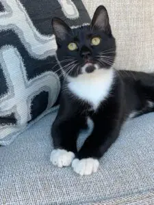  width=