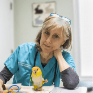 Dr. Angela Lennox Board Certified ABVP - Avian, Exotic Companion Mammal