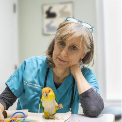 Dr. Angela Lennox Board Certified ABVP - Avian, Exotic Companion Mammal