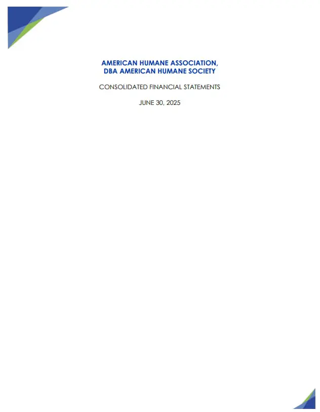 Cover image for FY2025 financial statement