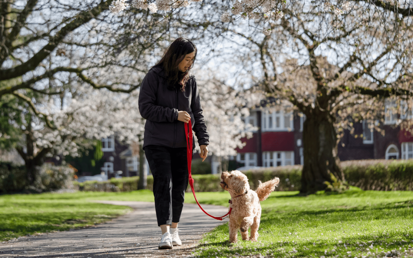 What “safer” means for daily walks in 2026