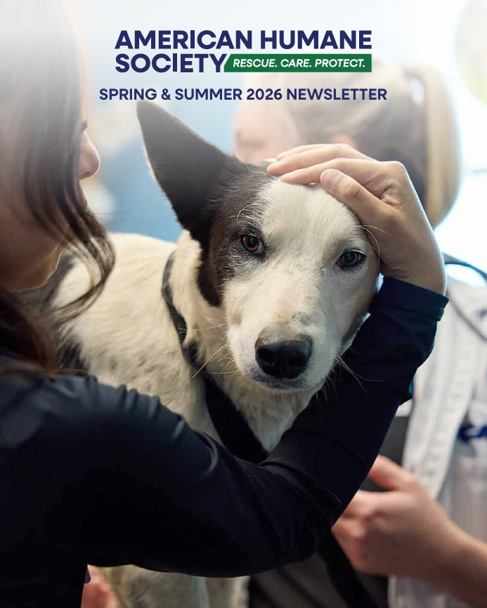 Cover image for Spring & Summer 2026 Newsletter