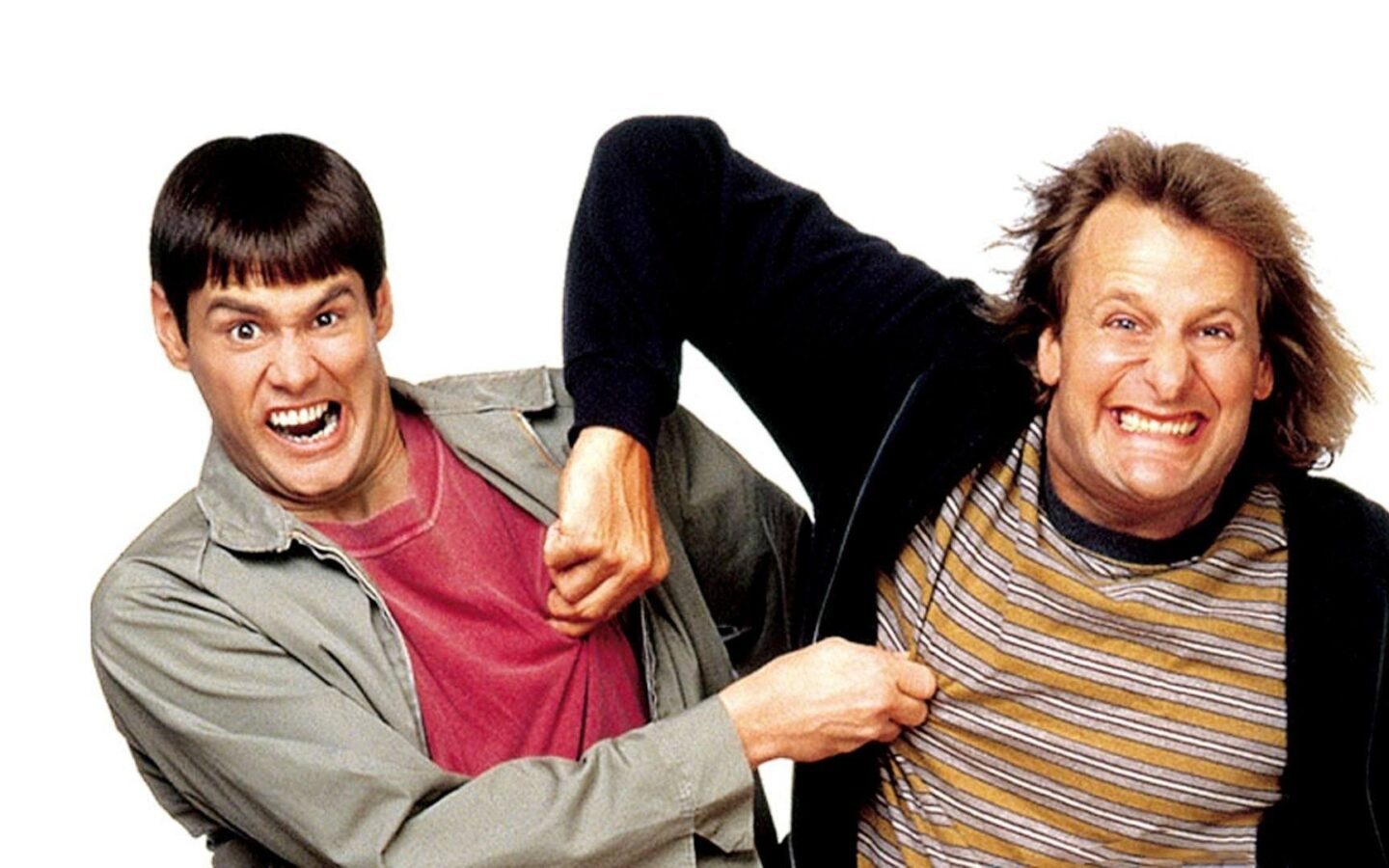 Dumb And Dumber - American Humane Society, image size:1440x900