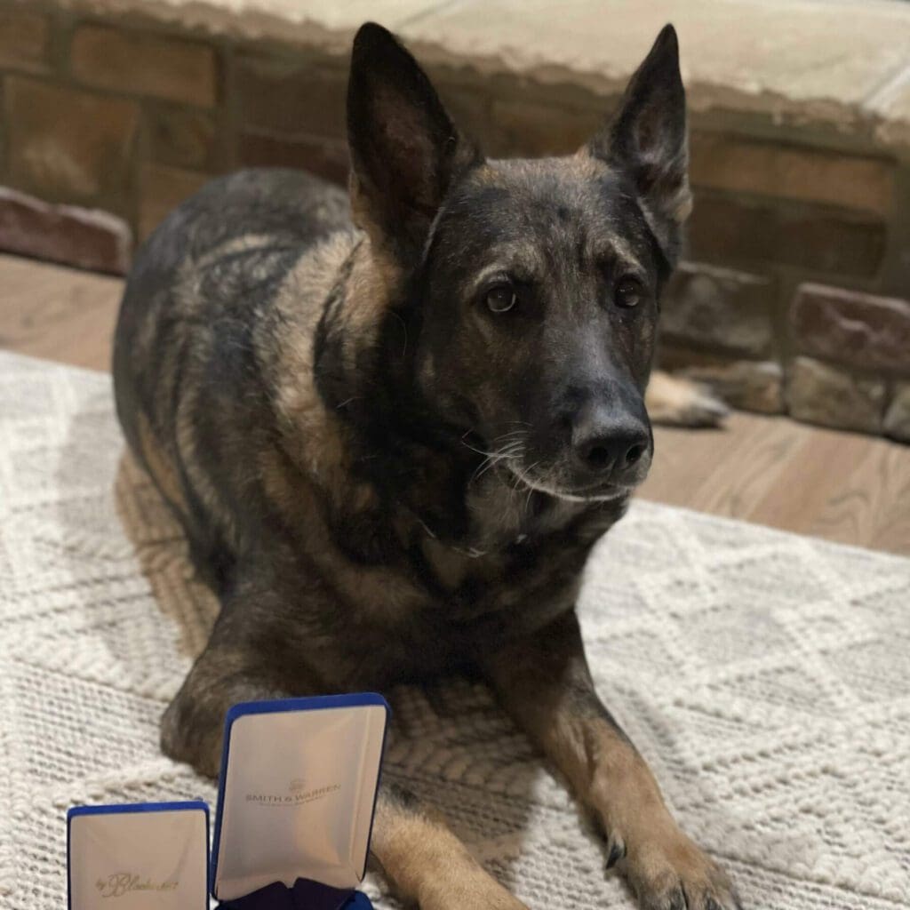 Nine Riggs K9 Riggs, the 2022 Law Enforcement and Detection Hero Dog - American ...