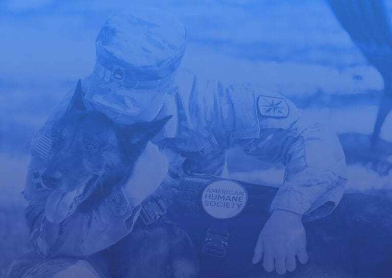 Animal Population Control - American Humane Society