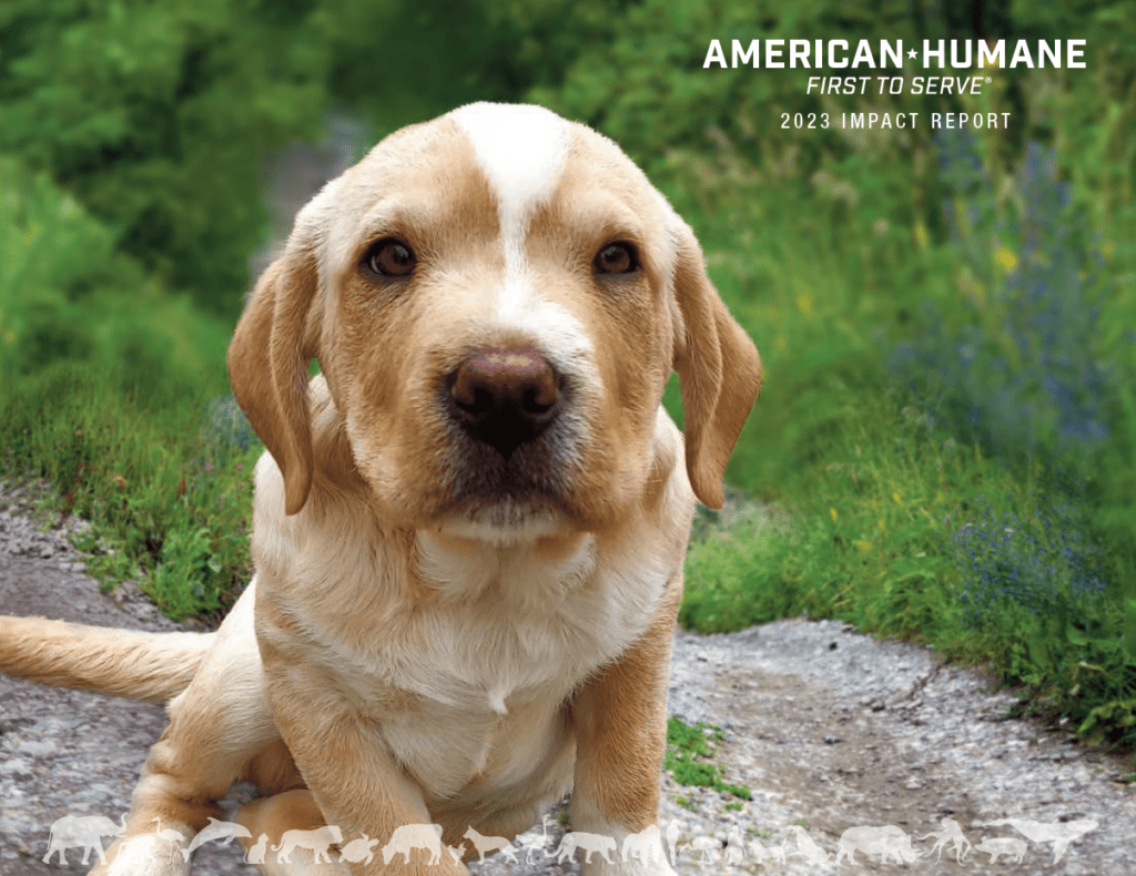 Annual Report 2023 - American Humane Society