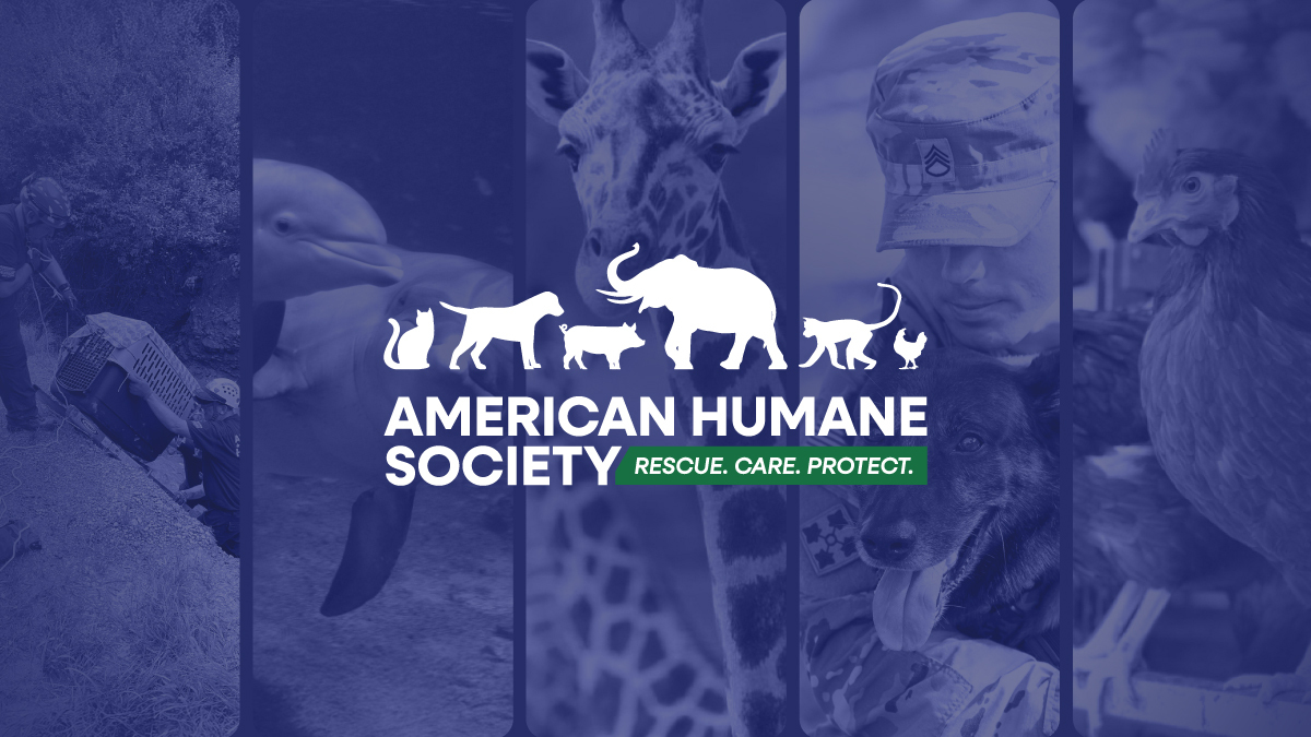 Copyright Americanhumane.org (c) Americanhumane.org