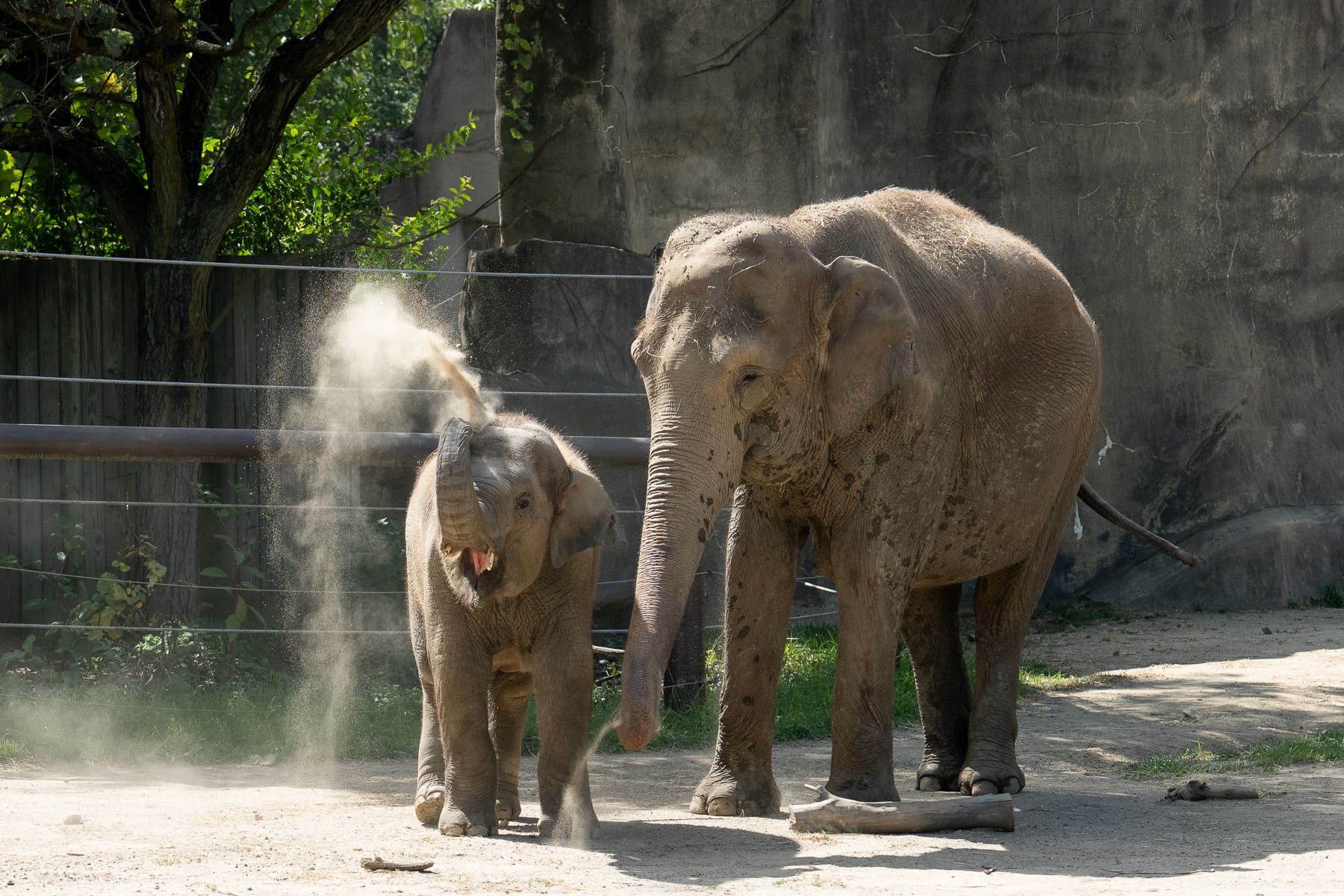 Zoos In Ohio Visit Certified Zoos & Aquariums - American Humane Society