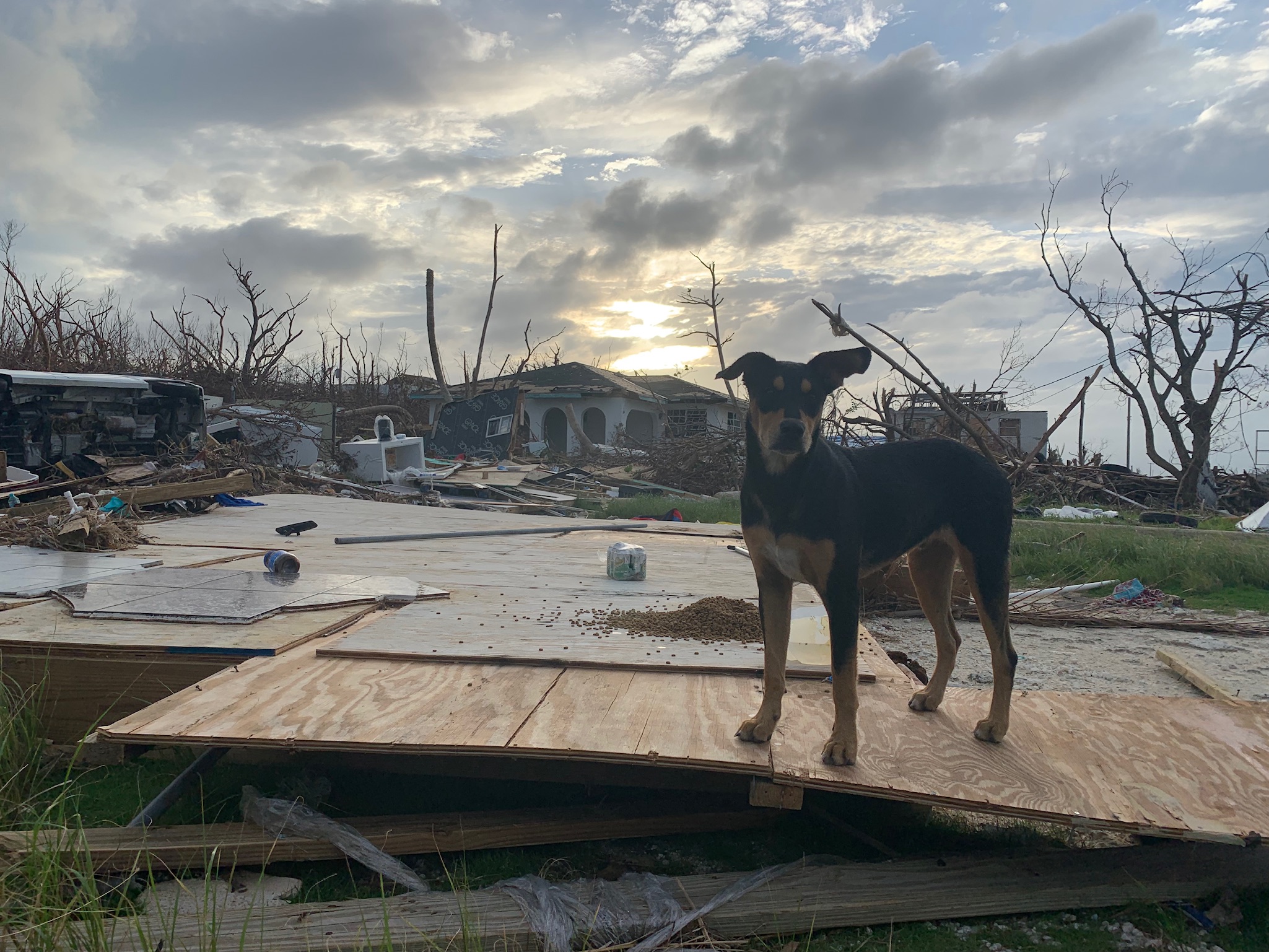 National Preparedness Month - American Humane Society