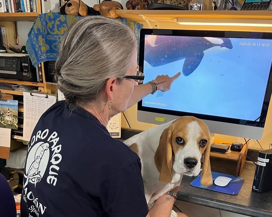 Meet Dr. Kathleen M. Dudzinski - American Humane Society