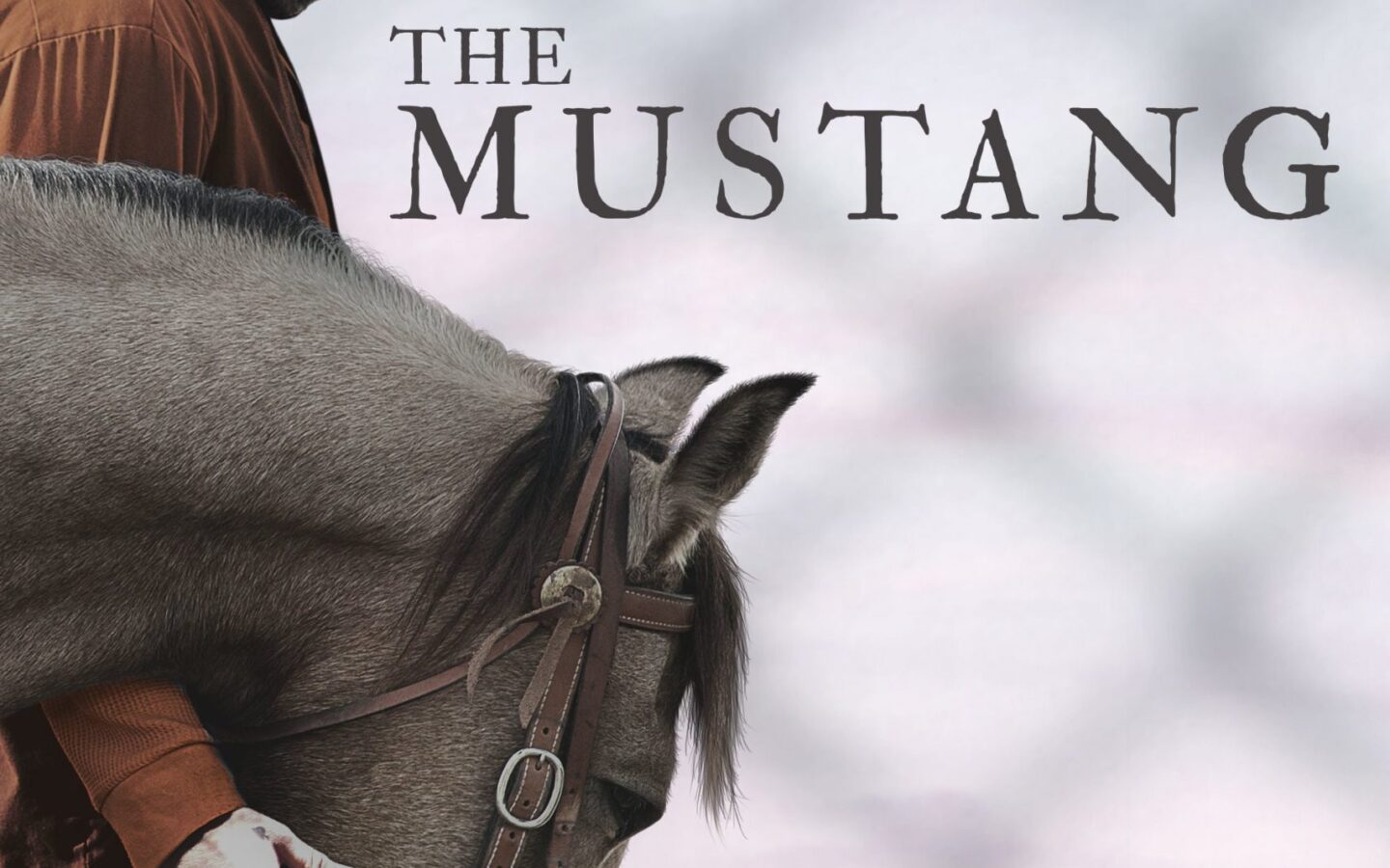 The Obligation of a Horse Seller: An Editorial | HORSE NATION, image size:1440x900