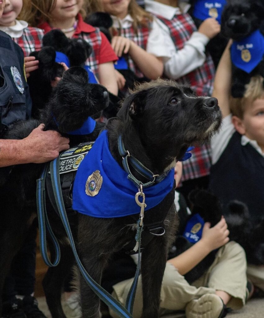 Hero Dog Award winner Sgt. Bo at a children's event.