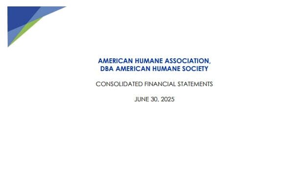 Cover image for FY2025 financial statement