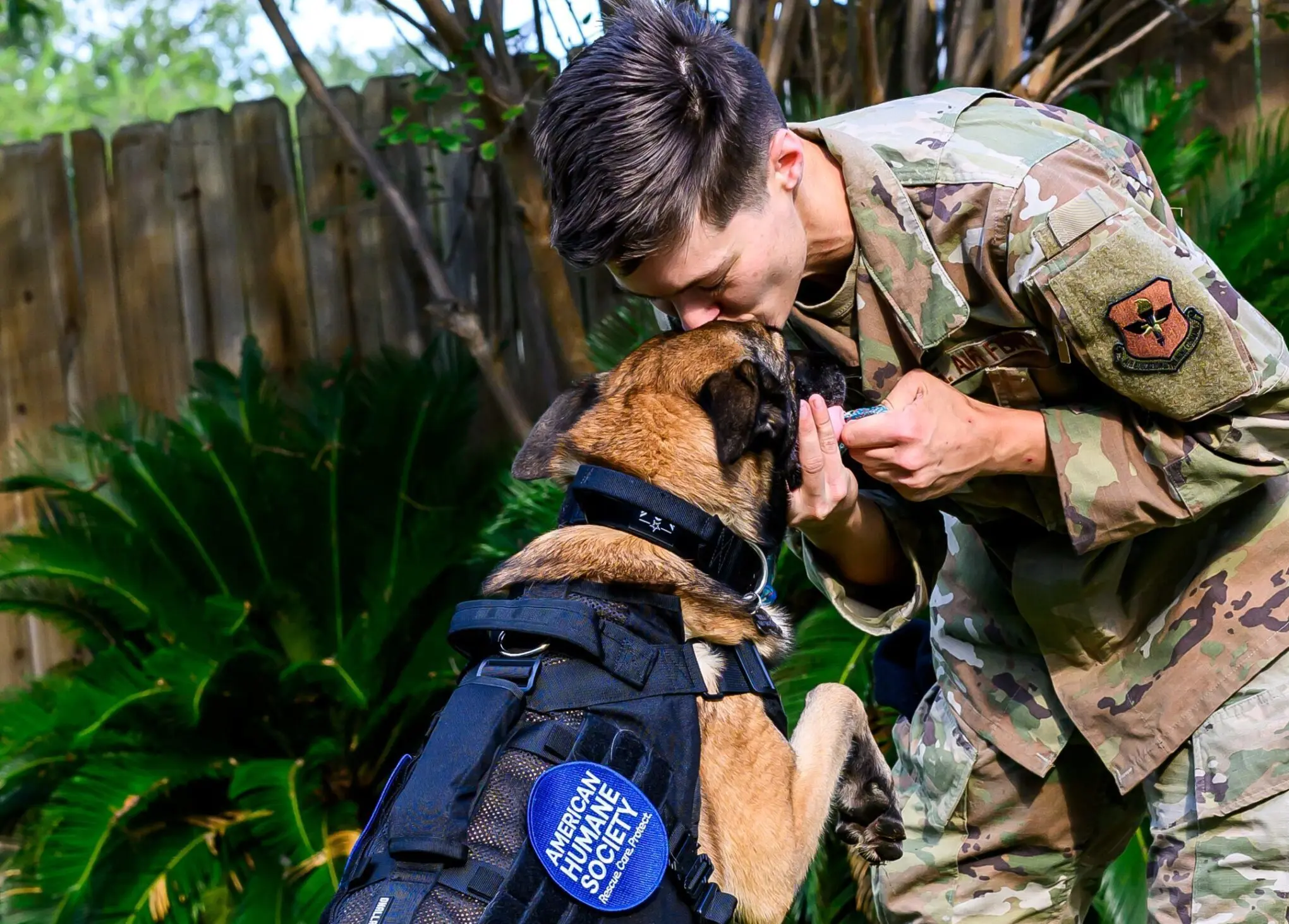 Military Working Dog Reunifications - American Humane Society Military Working Dog Reunifications - American Humane Society